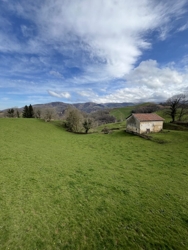 Accueil 4 IMG 4072