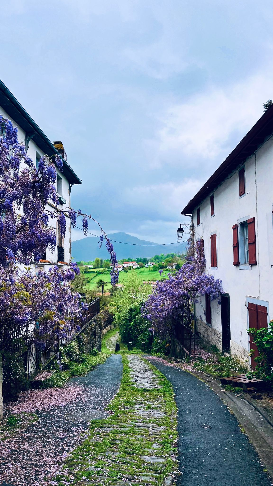 Excursion interjournée (2 villages + restaurant) - 6-8h 3 WhatsApp Image 2025 12 09 a 23.26.10 a3eedbcd